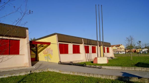 Scuola Primaria 